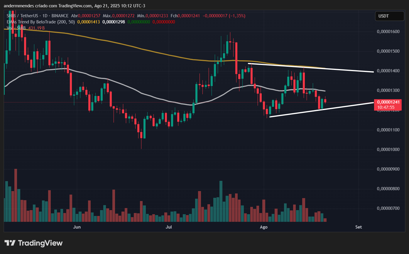 Graphique Shiba Inu (Shib) dans TradingView