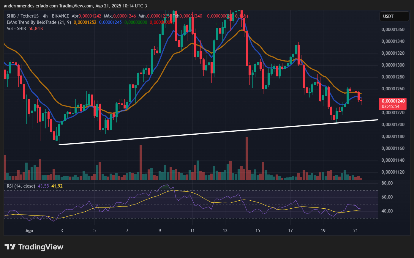 Graphique Shiba Inu (Shib) dans TradingView