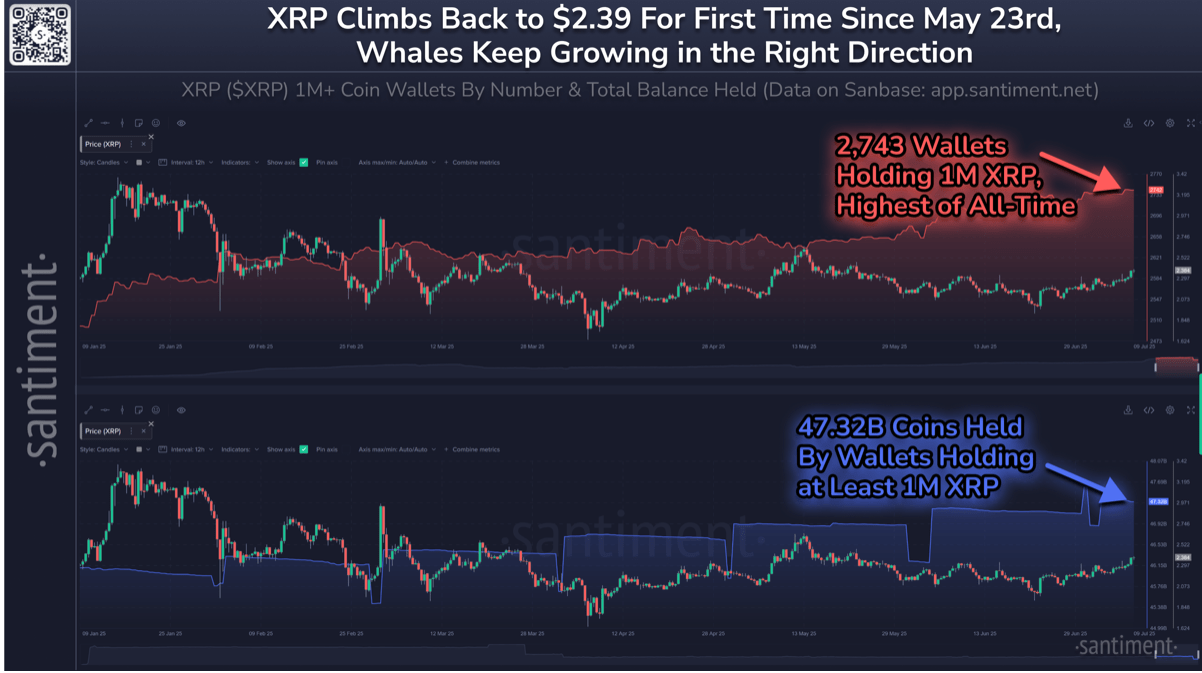Xrp