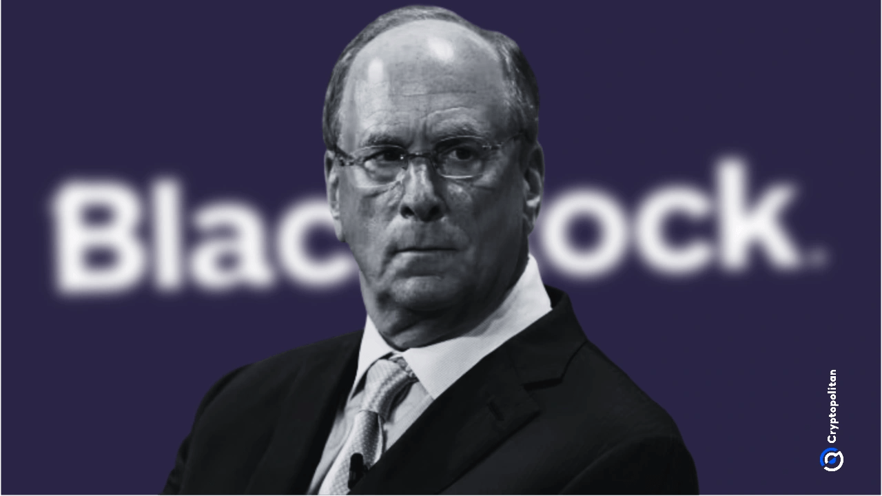 BlackRock boosts AI and US equity exposure in $185 billion models