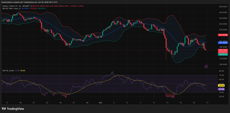 Top 3 Cryptos to Buy as Whales Increase Buying Activity