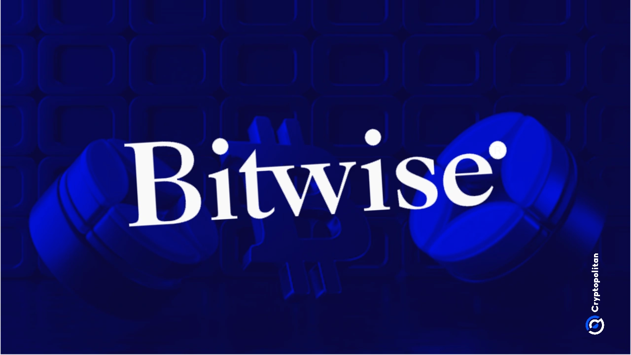 Bitwise execs remain bullish on BTC and the crypto markets despite recent volatility