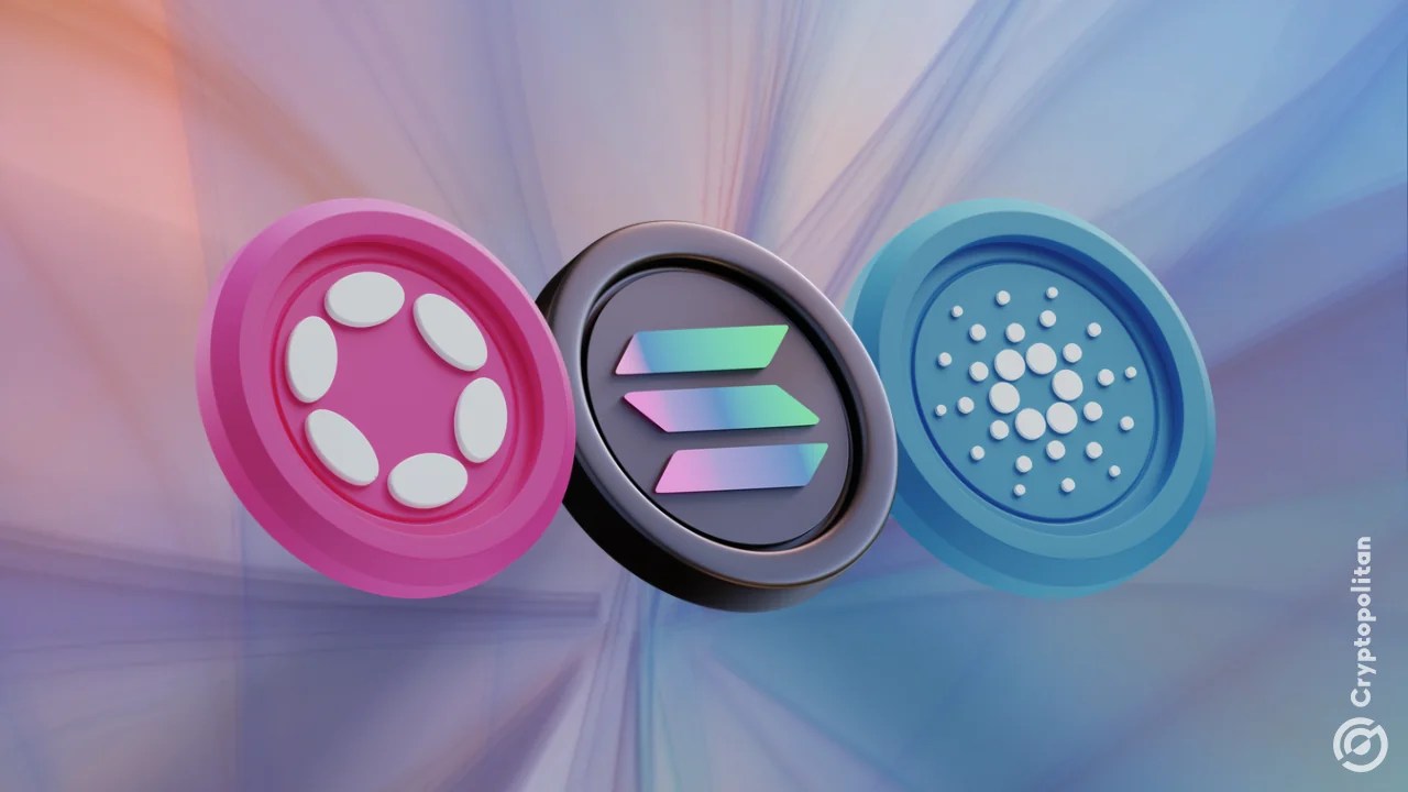 Full Layer 1 Blockchain Comparison