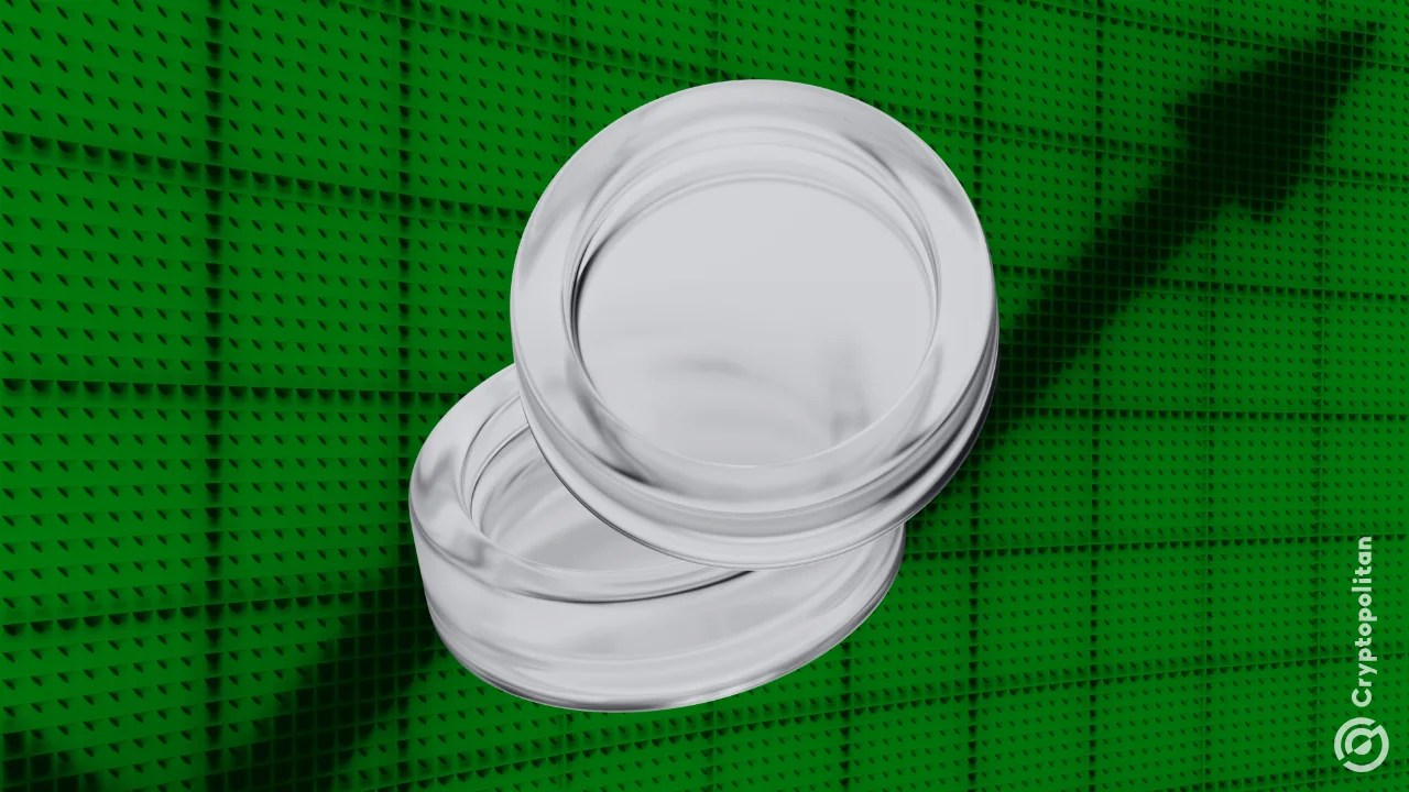 Trader turns $370 $WHITEWHALE buy into $1.2M profit