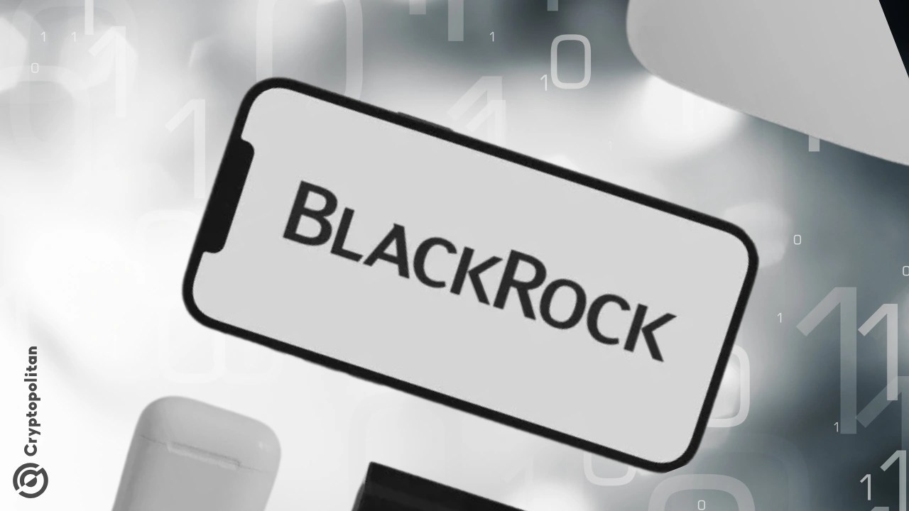BlackRock survey reveals a shift in AI investments