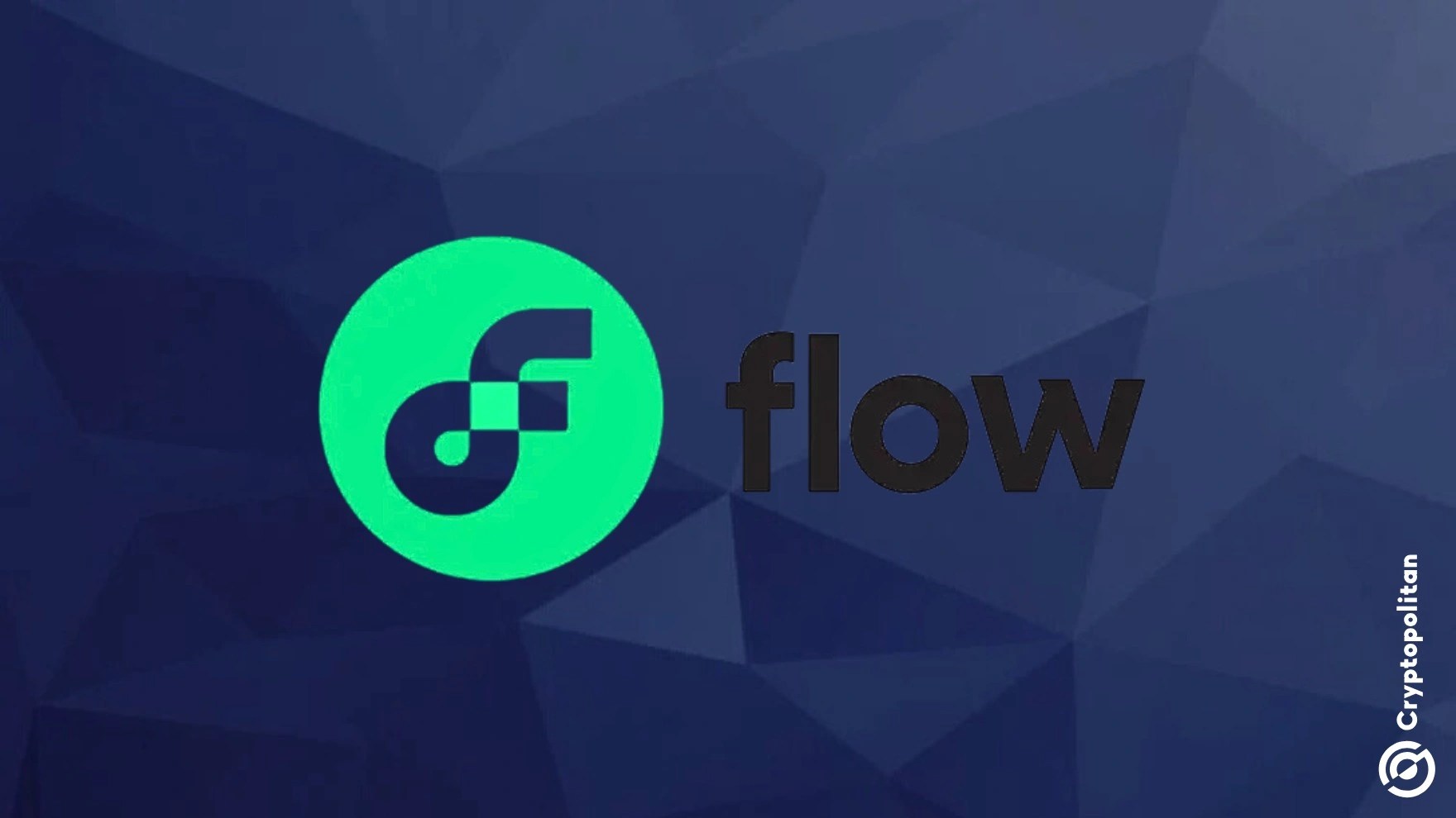 Flow Foundation moves to phase two of $3.9M exploit recovery