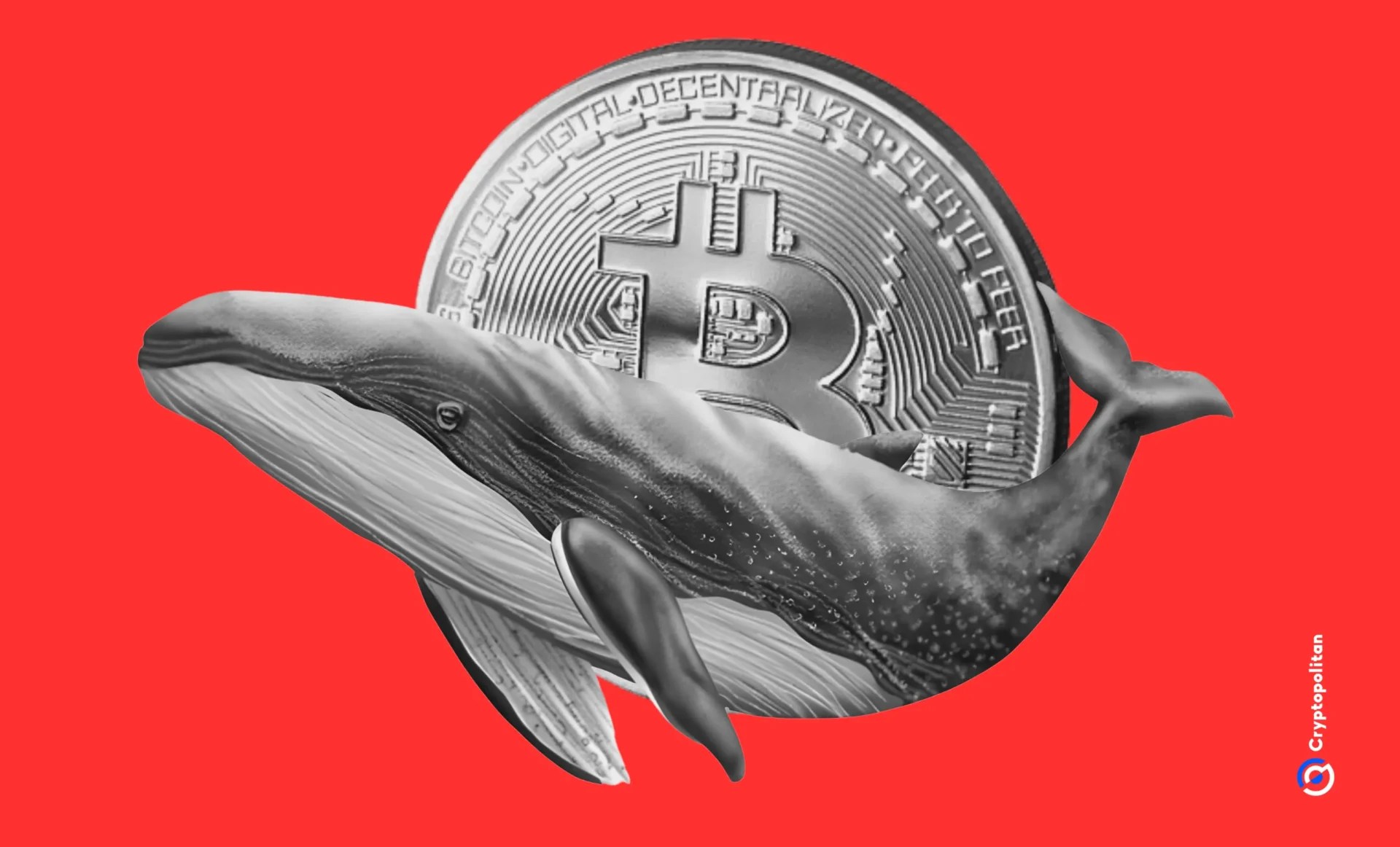 Whales close leveraged Bitcoin long positions, exchange data shows