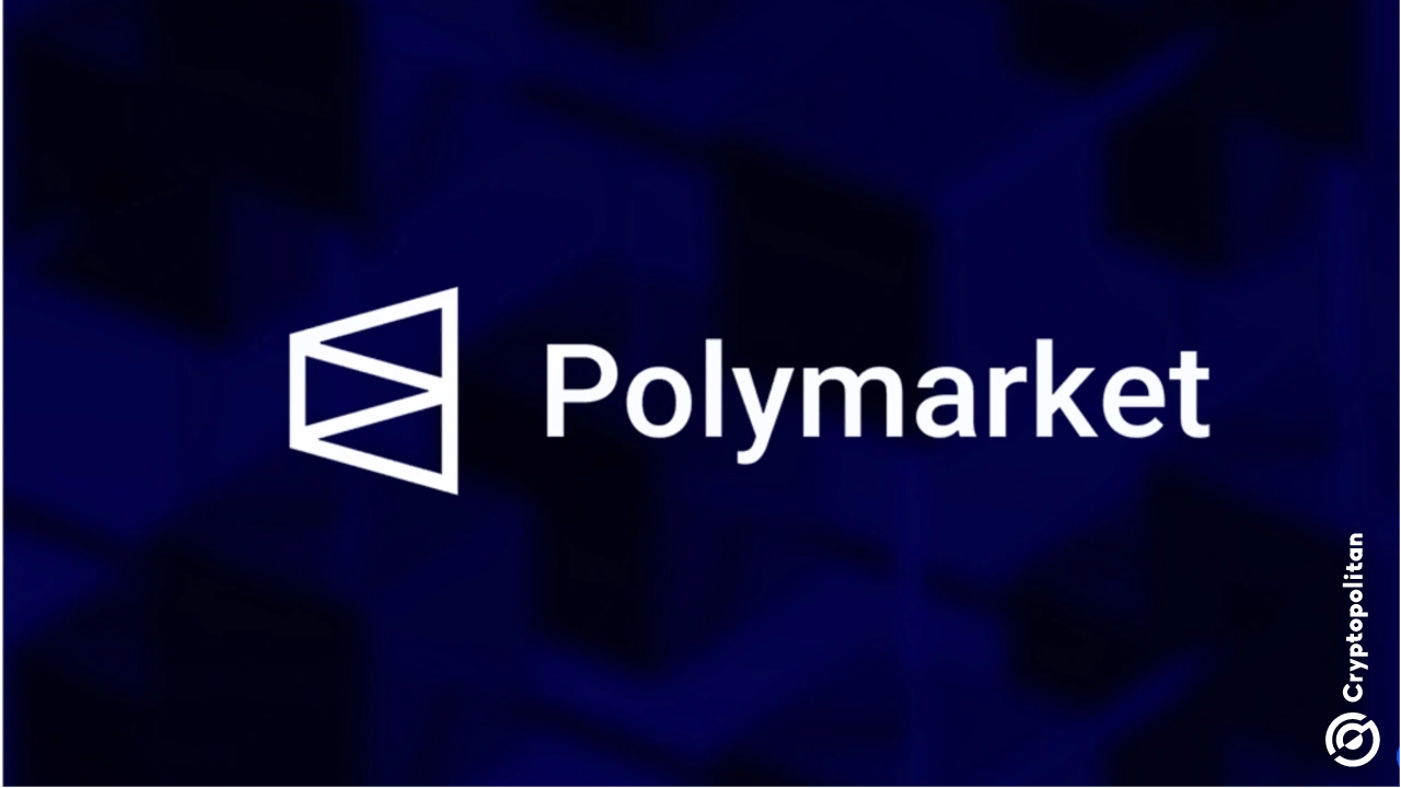 Polymarket bets on tech layoffs surge. But is AI replacing workers or just concentrating them?