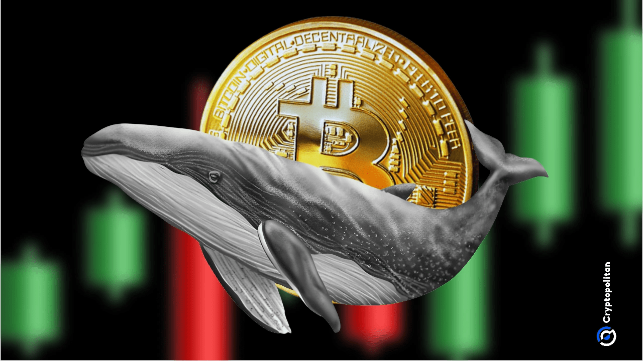 Binance sees sharp drop in Bitcoin whale sell-side activity
