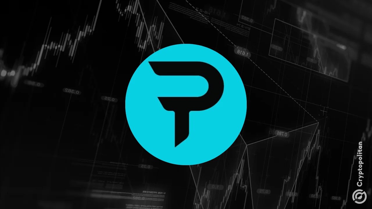 Paradex resumes after refunding users for maintenance bug liquidations