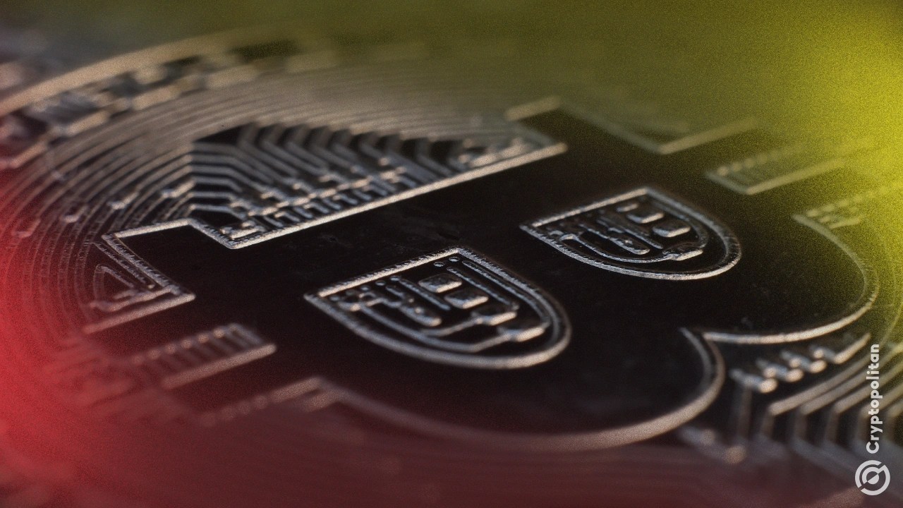 Did bitcoin’s brutal crash expose Wall Street’s risky new bond experiment?