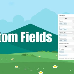 How to automate WordPress custom fields