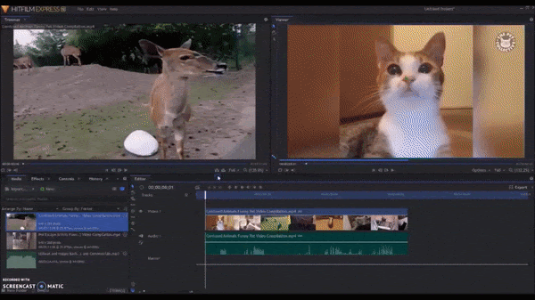 Video Editing Camp Young Judaea Sprout Lake