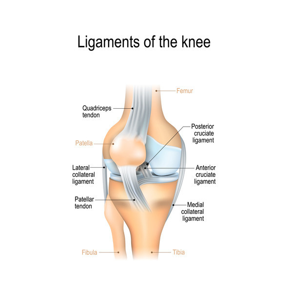 Ini Risiko Terkena Cedera Posterior Cruciate Ligament (PCL) | DBL ID