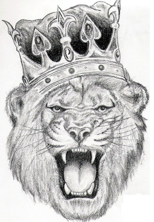 Lion Tattoo Drawing Realistic | Drawing Skill 720_x_500_jpg