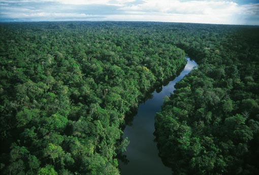 “Urgent Call to Action at COP30: Protect Our Climate and Save the Amazon Forest!” – EnviroNews: Your Source for the Latest in Environmental Issues, Climate Change, and Renewable Energy “Urgent Call to Action at COP30: Protect Our Climate and Save the Amazon Forest!” – EnviroNews: Your Source for the Latest in Environmental Issues, Climate Change, and Renewable Energy