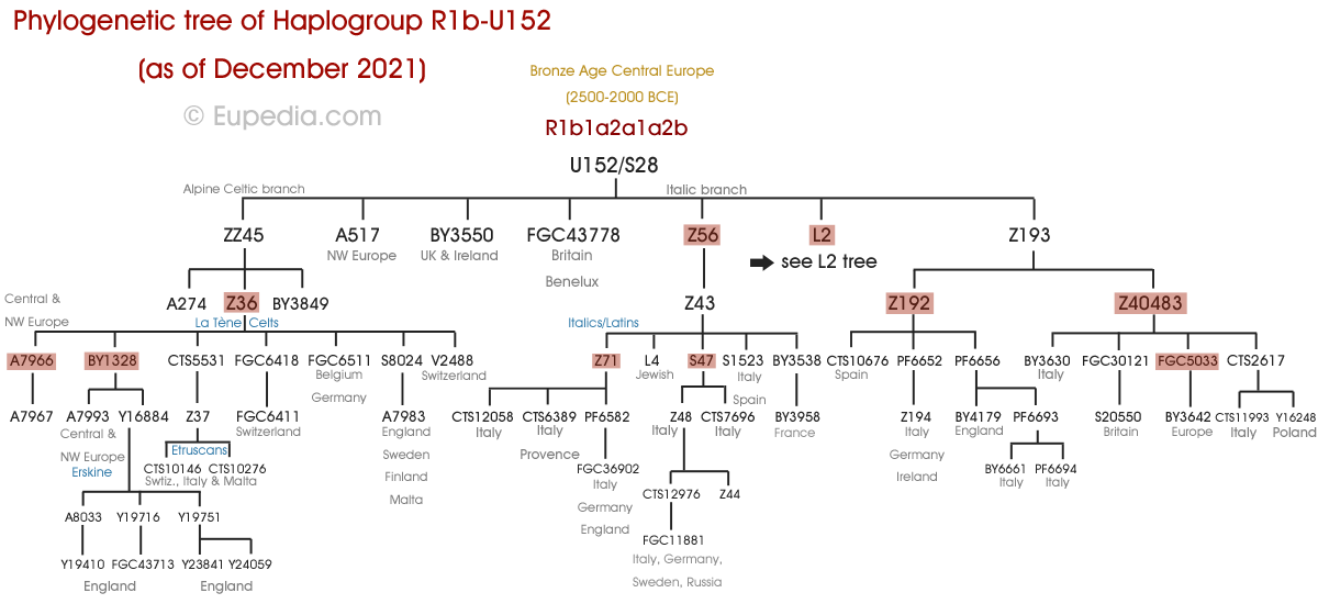 Aplogruppo R1B (Dna-Y) - Eupedia 550_x_1200_png