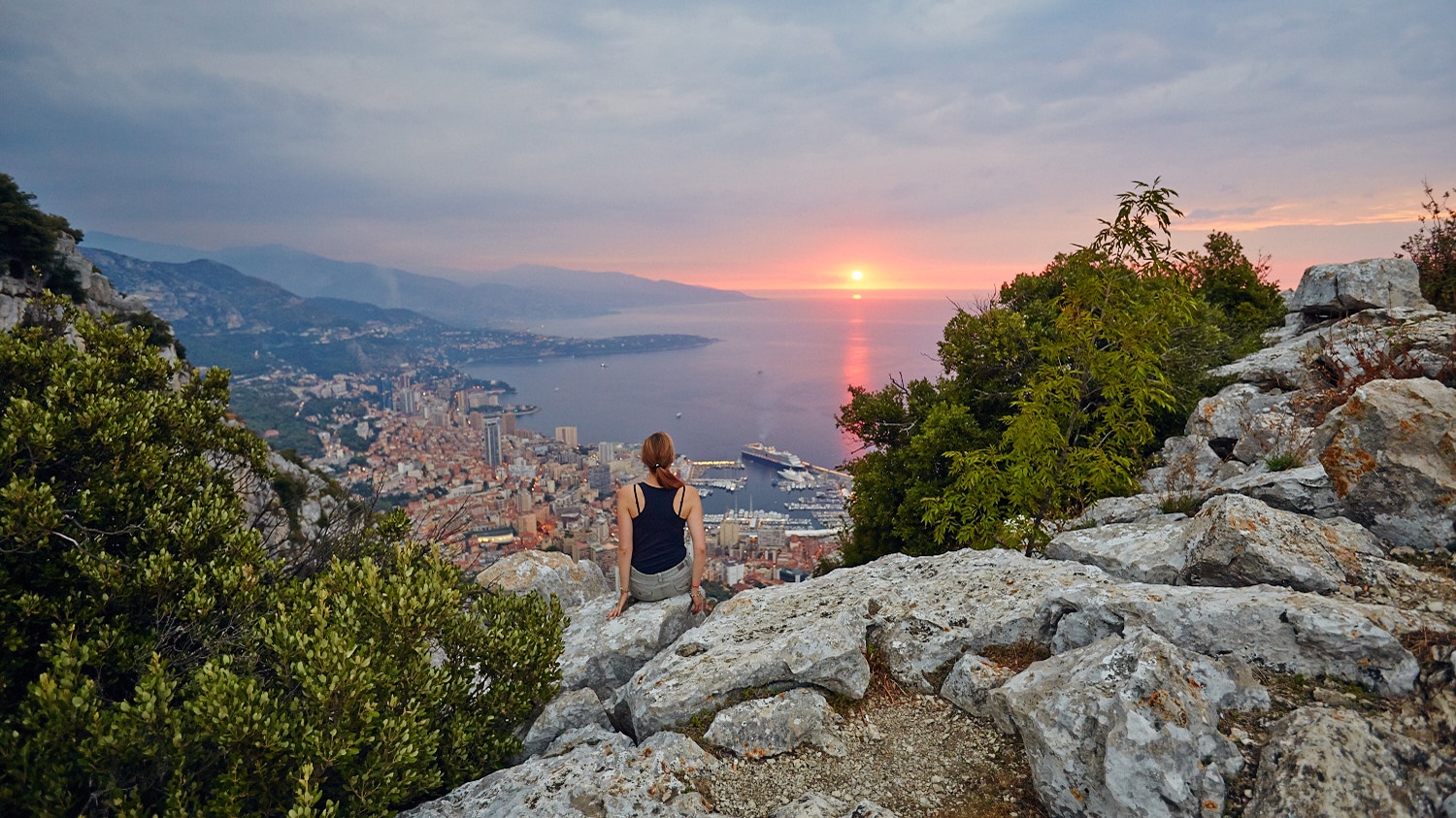 Tete de chien cap d'ail