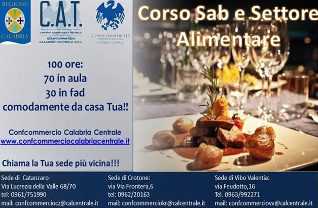 Corso Agente E Rappresentante Di Commercio – Formazione Cat Calabria Centrale 411_x_627_jpg