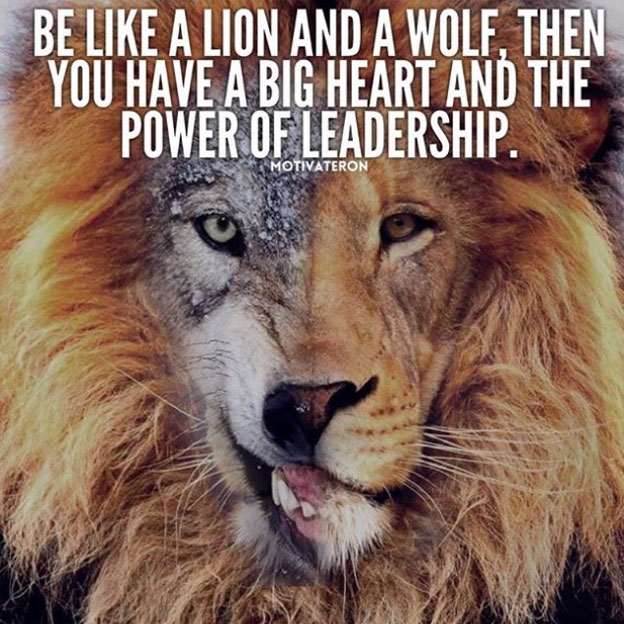 20 Strong Wolf Quotes To Pump You Up | Wolves & Wolfpack Quotes 624_x_624_jpg