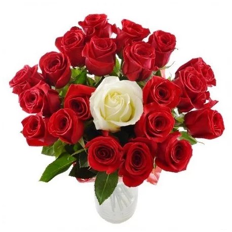 20 Rose Rosse Con Una Rosa Bianca Al Centro Con Verde