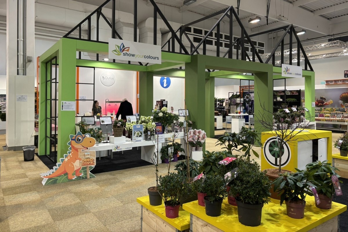 Seven nominations for the Show Your Colours Award IPM 2026