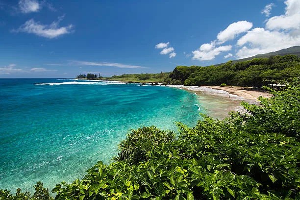 Southwest Airlines Maui Office in United States
