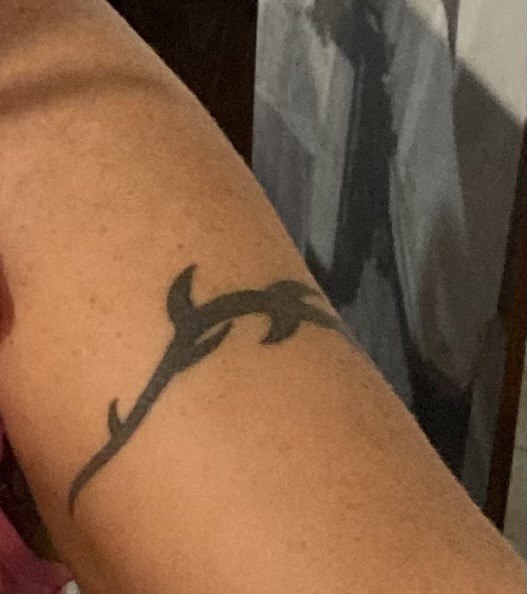 Tatuaggi Troppo Vistosi Vietati Al Personale In Divisa / Ora E' Toccato Ad Un Carabiniere. E' Stato Licenziato. Chi Sara' Il Prossimo? - Forzearmate.eu - Infodifesa E Forze Di Polizia 594_x_527_jpg