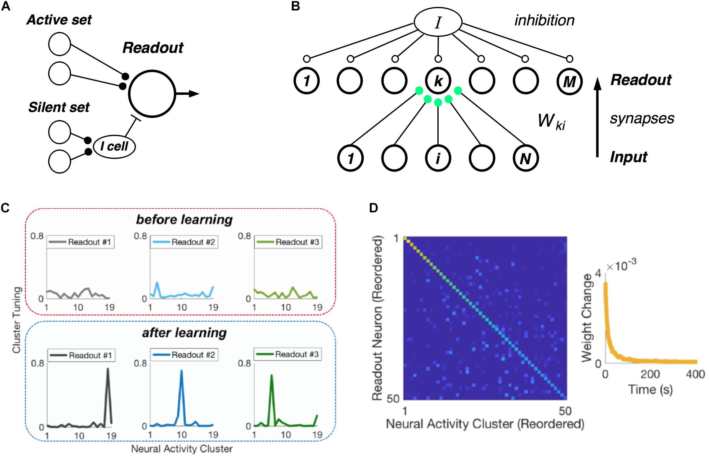 Neural Network Clustering Training. Cluster training