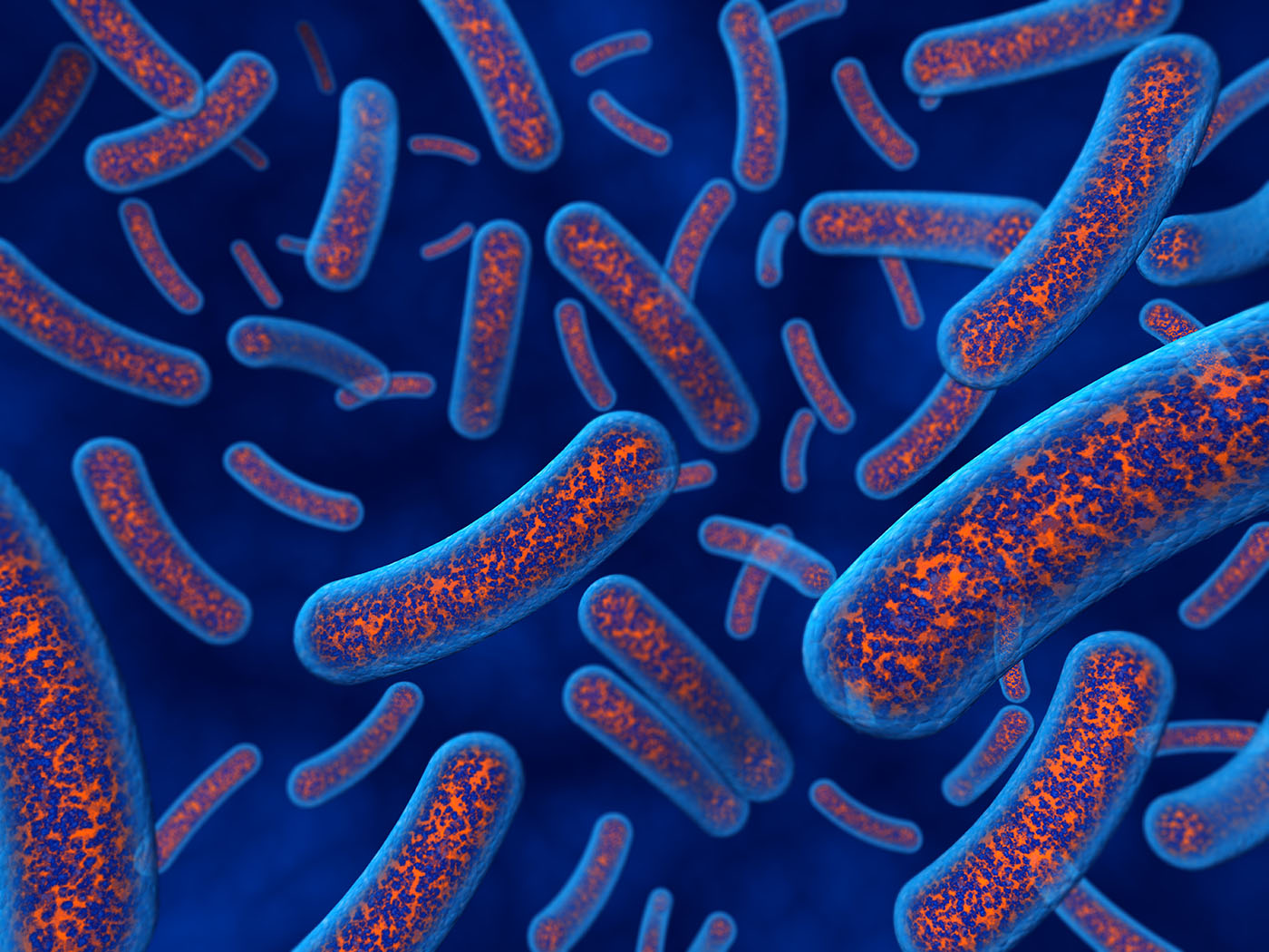 Antibiotic Pierces Bacterial Armor to Address Drug-Resistant Infections