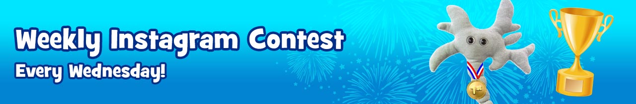 Contests 210_x_1280_jpg