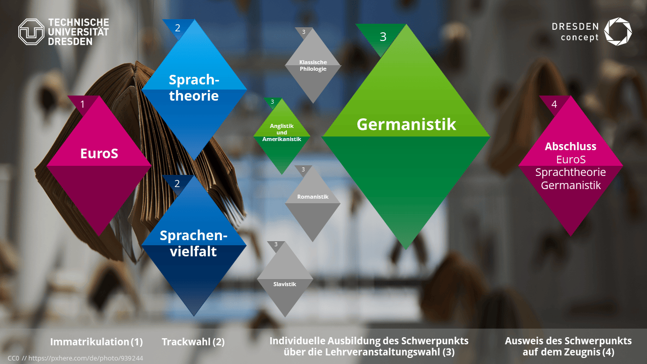 Fachstudium Gls