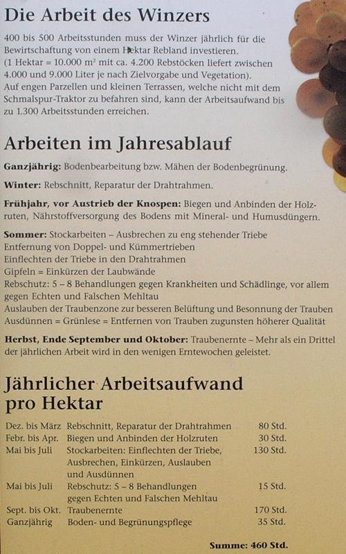 Winzer Treff Wg Gottenheim
