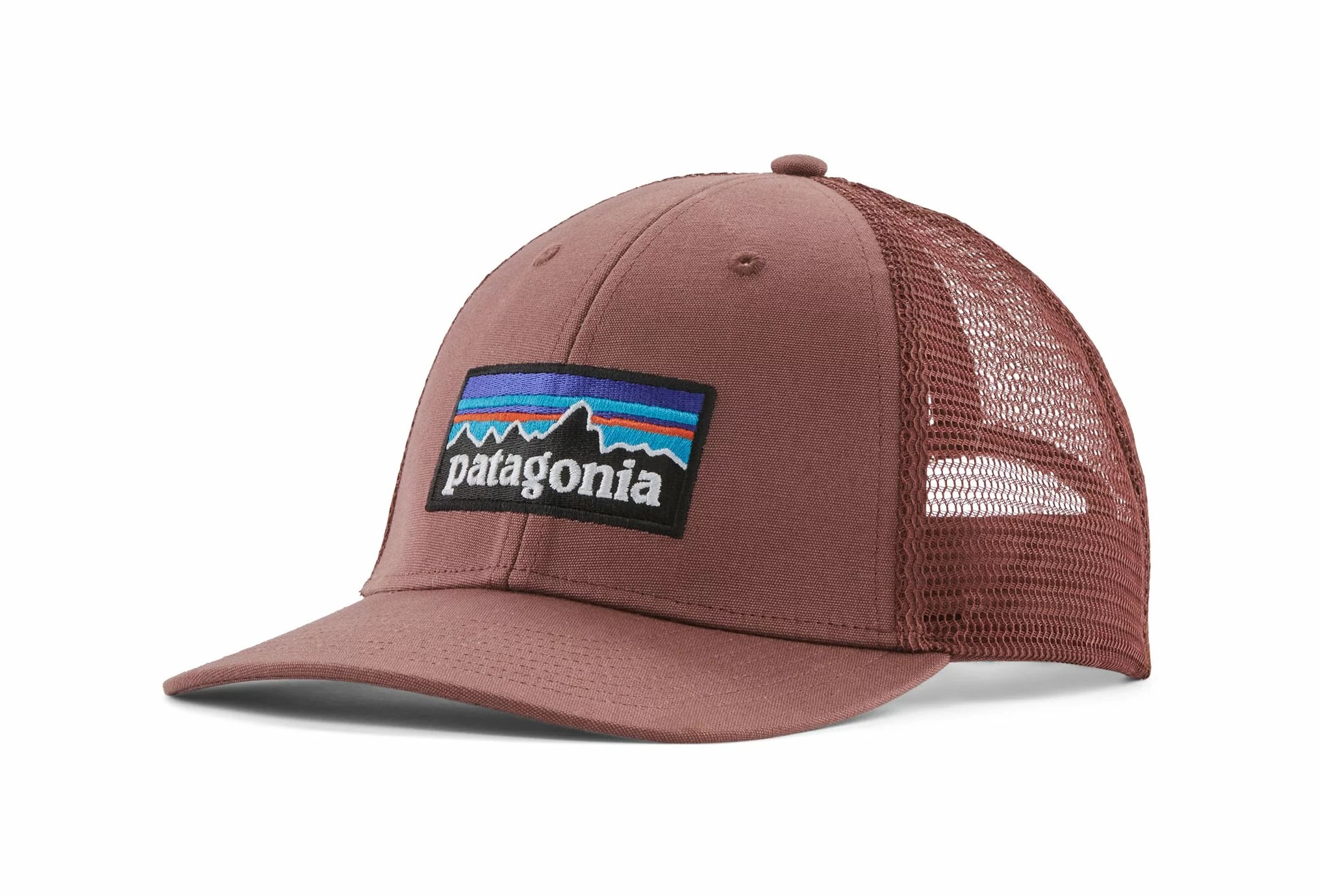 Patagonia P-6 Logo LoPro Trucker