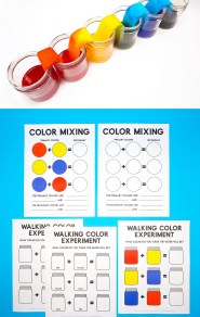 Walking Rainbow STEM Activity Printables Happiness Is Homemade