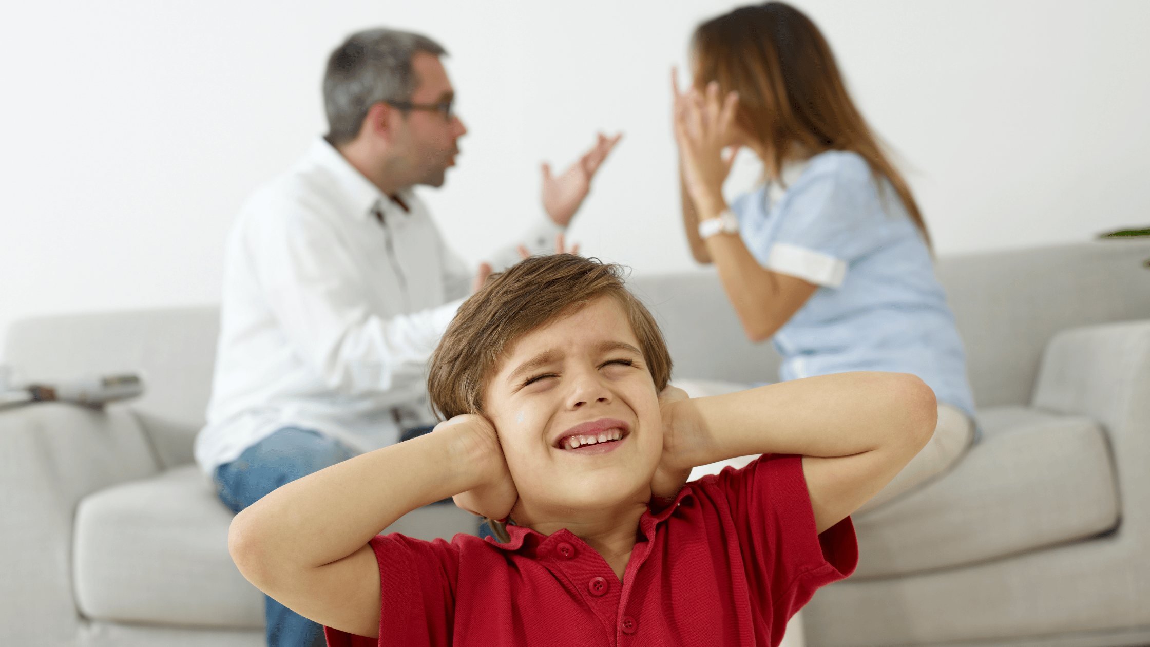 Domestic Violence and Mental Health 