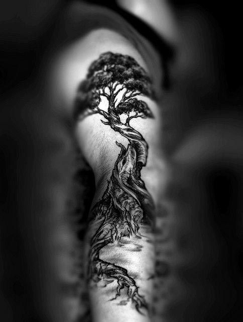 40 Motifs De Tatouages D'arbres Et Leurs Significations 640_x_484_jpg