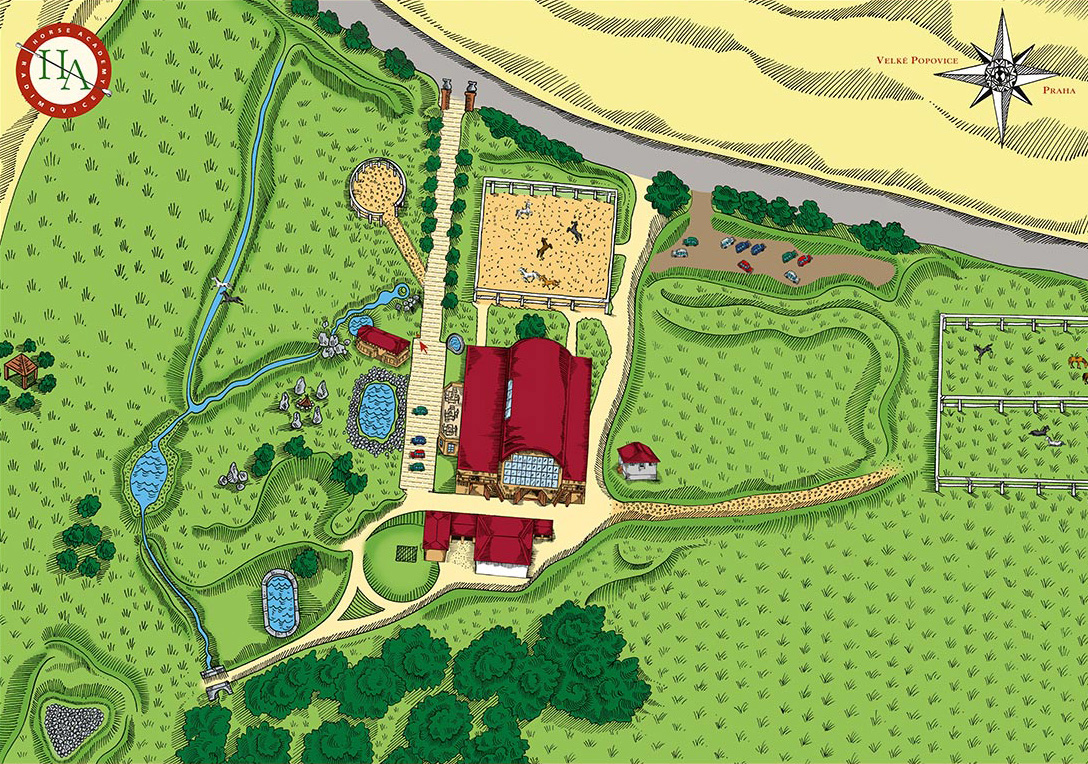 Horse Academy Organizing Events