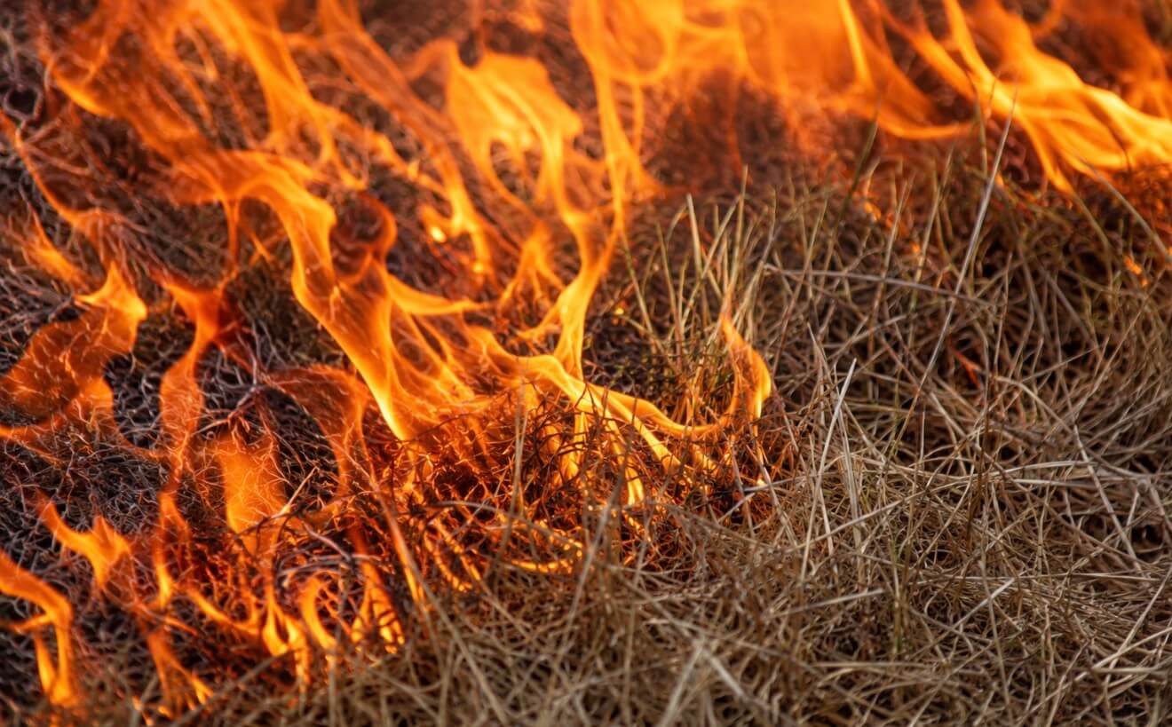 Meteorología activa Advertencia de Bandera Roja por alto riesgo de incendios