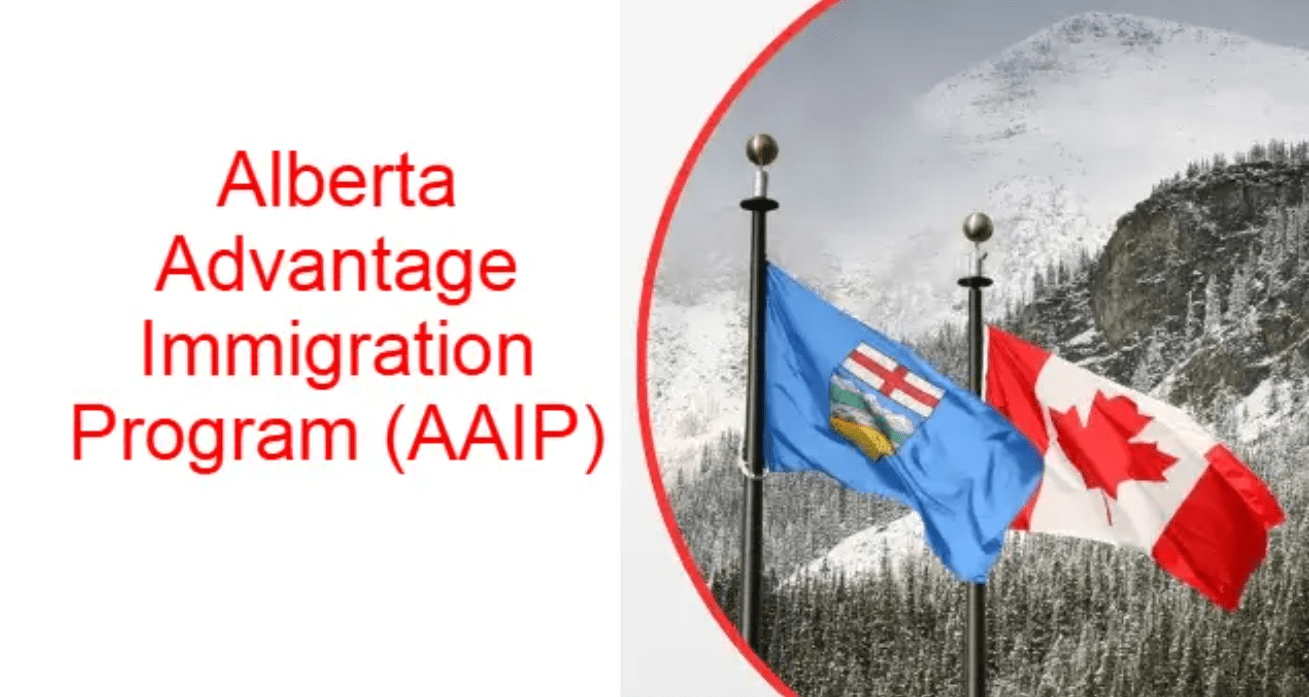 Alberta Advantage Immigration Program (AAIP) : Guide complet pour les travailleurs qualifiés en 2026 Alberta Advantage Immigration Program (AAIP) : Guide complet pour les travailleurs qualifiés en 2026