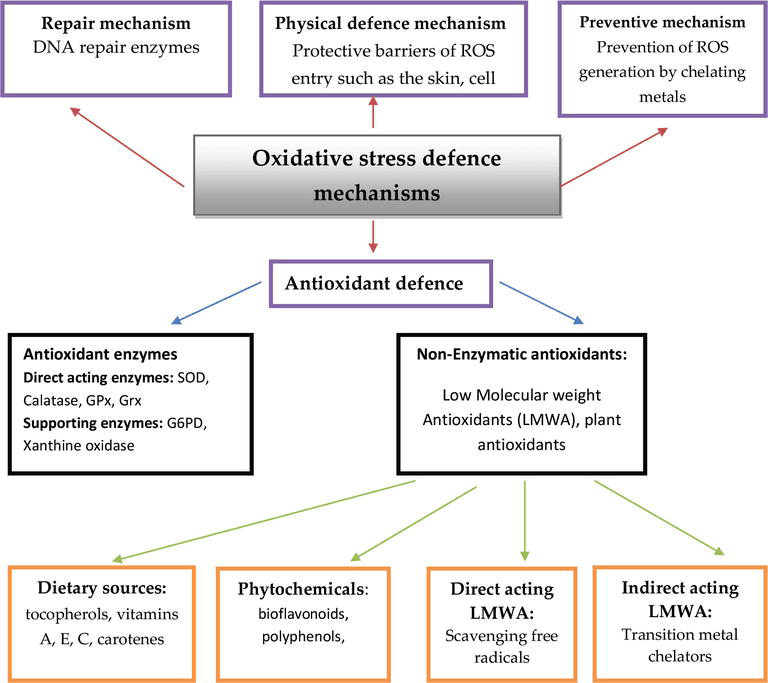 Free Radicals And The Role Of Plant Phytochemicals As Antioxidants Against Oxidative Stress Related Diseases Intechopen