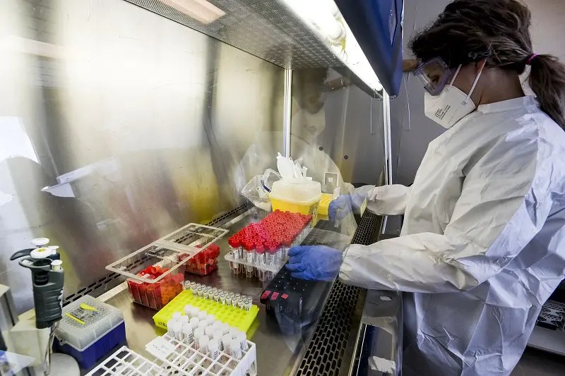 In Piemonte 250 Nuovi Casi Di Covid E Un Decesso, Scendono Ricoveri Agenzia Di Stampa Italpress - Italpress 533_x_800_jpg