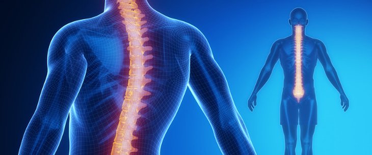 Rééducation des scolioses | Institut de Thérapie Manuelle et de  Physiothérapie