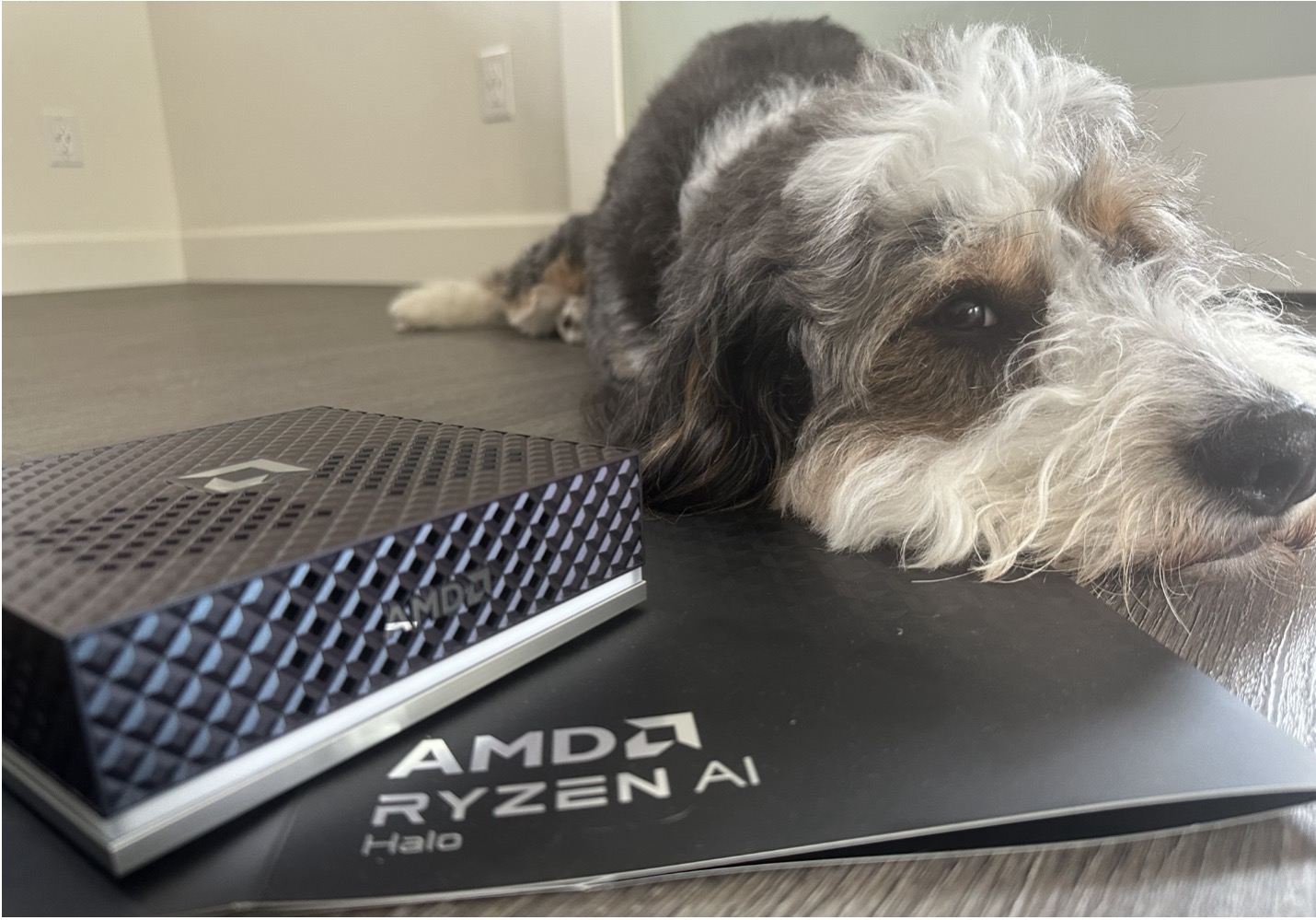Perplexity brings its local agent stack to AMD Ryzen AI Max PCs Perplexity brings its local agent stack to AMD Ryzen AI Max PCs