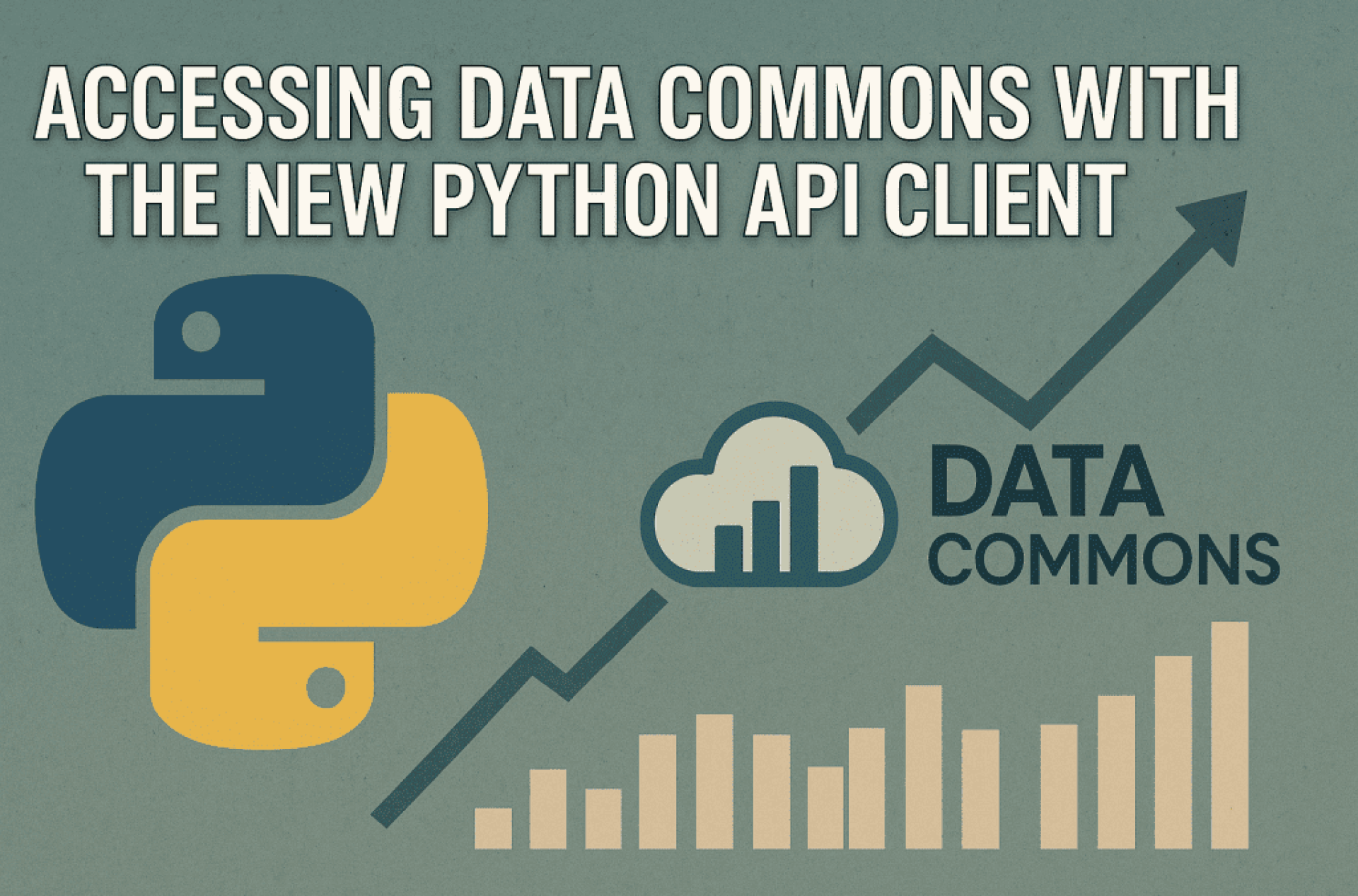 새로운 Python API 클라이언트를 사용하여 Data Commons에 액세스