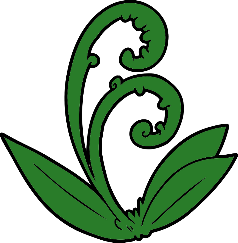 New Zealand Maori Koru Art Lesson Plan: Multicultural Art And Craft Lessons For Kids 800_x_786_png