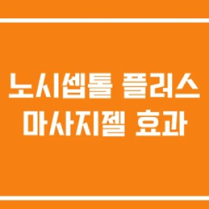 노시셉톨 플러스 마사지젤 효과 노시셉톨 플러스 마사지젤 효과
