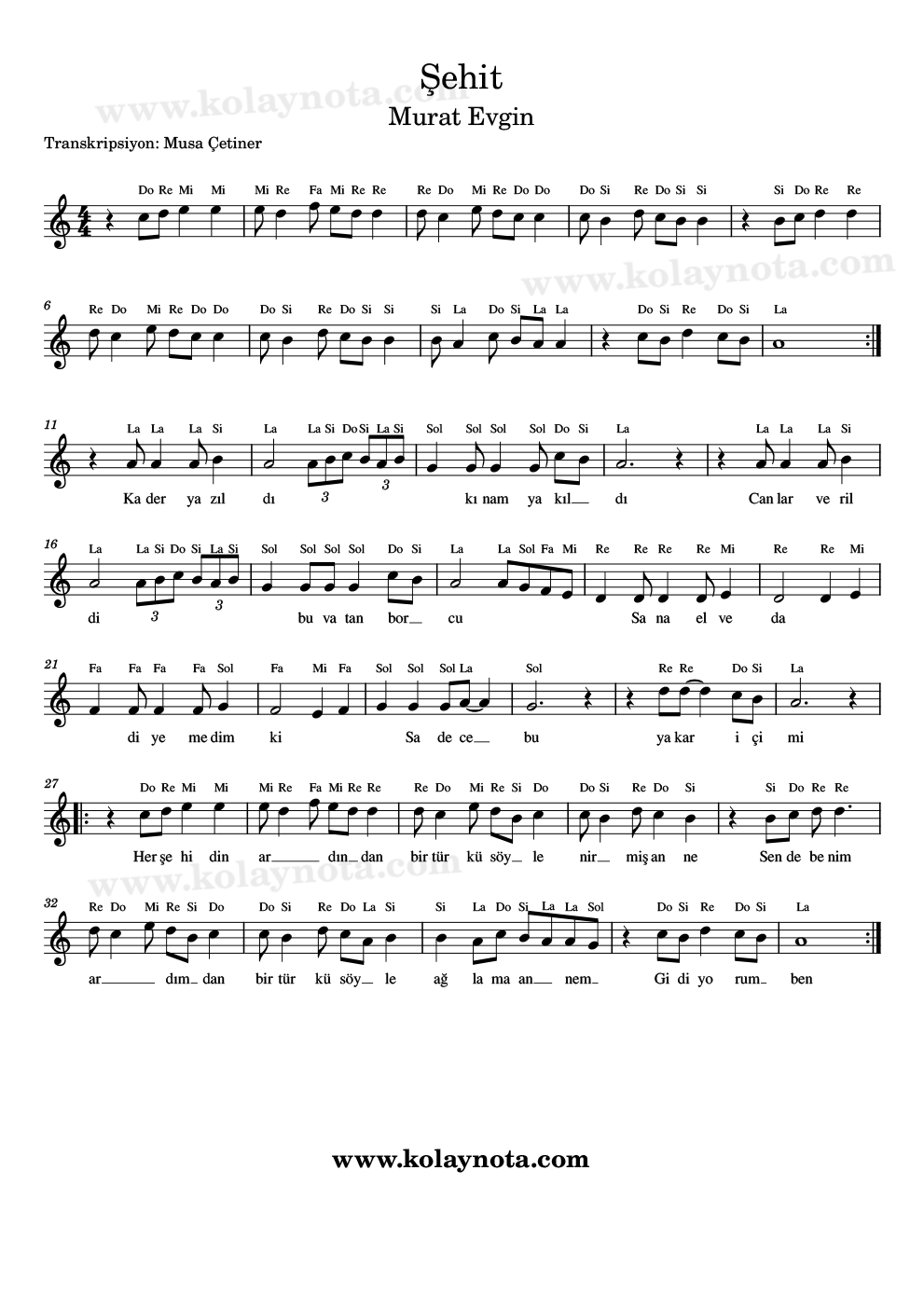 Her şehidin ardından bir türkü söylenirmiş anne indir