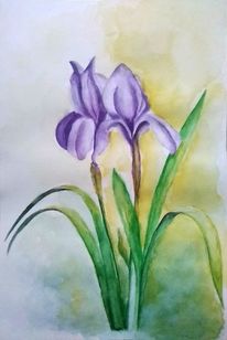 250 Aquarellmalerei Blumen Iris Bilder Und Ideen Auf Kunstnet