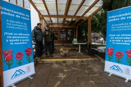 Segunda jornada de intercambio de esquejes de rosas por alimentos no perecederos